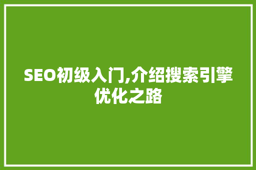 SEO初级入门,介绍搜索引擎优化之路