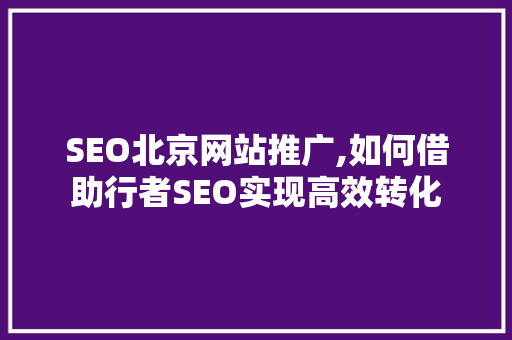 SEO北京网站推广,如何借助行者SEO实现高效转化  第1张
