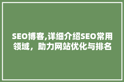 SEO博客,详细介绍SEO常用领域，助力网站优化与排名提升