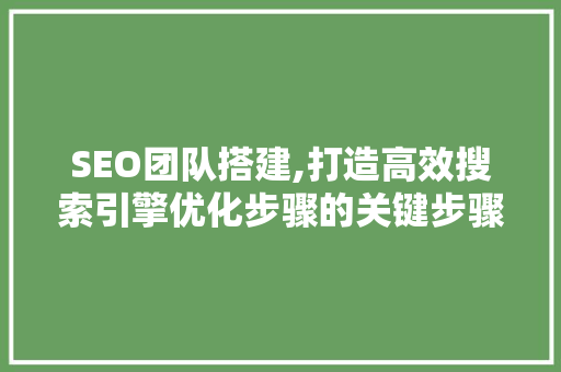 SEO团队搭建,打造高效搜索引擎优化步骤的关键步骤
