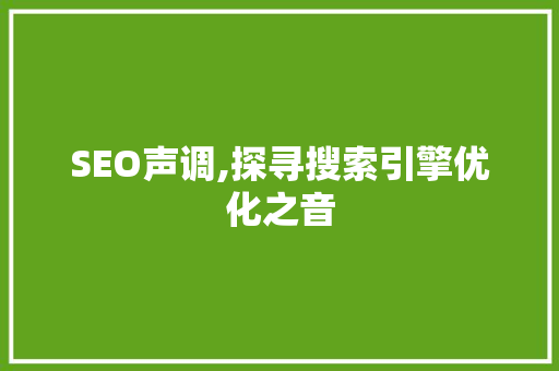 SEO声调,探寻搜索引擎优化之音