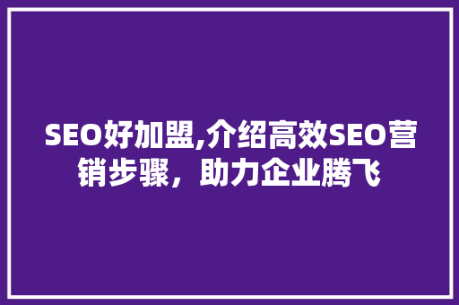 SEO好加盟,介绍高效SEO营销步骤，助力企业腾飞