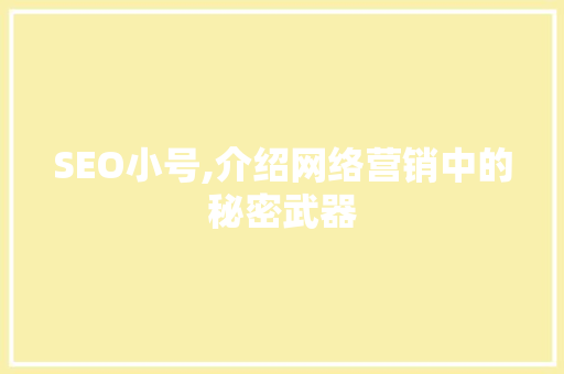 SEO小号,介绍网络营销中的秘密武器