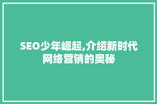 SEO少年崛起,介绍新时代网络营销的奥秘