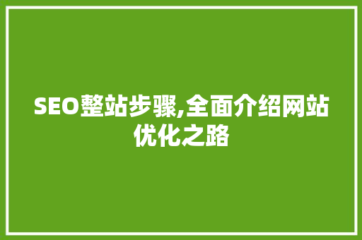 SEO整站步骤,全面介绍网站优化之路