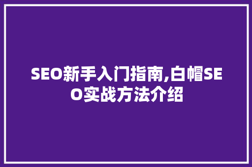 SEO新手入门指南,白帽SEO实战方法介绍