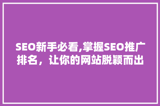 SEO新手必看,掌握SEO推广排名，让你的网站脱颖而出  第1张