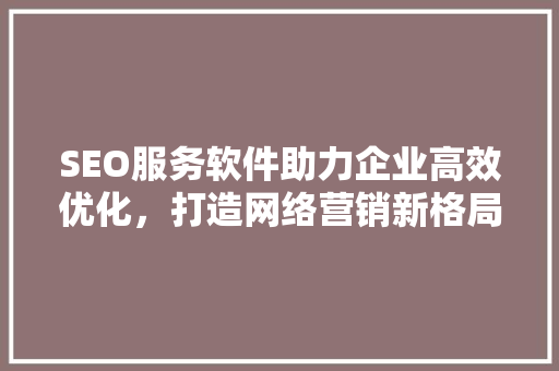 SEO服务软件助力企业高效优化，打造网络营销新格局