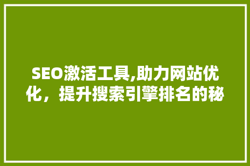 SEO激活工具,助力网站优化，提升搜索引擎排名的秘密武器