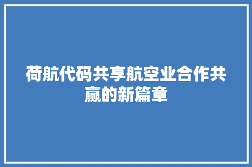 荷航代码共享航空业合作共赢的新篇章