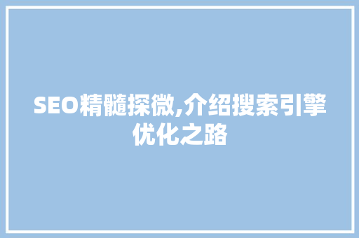 SEO精髓探微,介绍搜索引擎优化之路