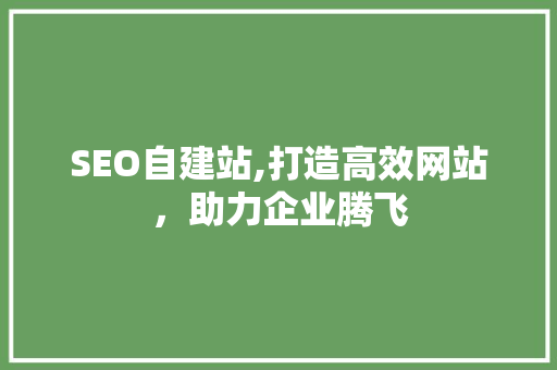 SEO自建站,打造高效网站，助力企业腾飞