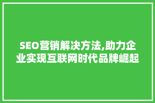 SEO营销解决方法,助力企业实现互联网时代品牌崛起