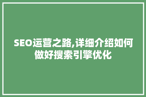 SEO运营之路,详细介绍如何做好搜索引擎优化