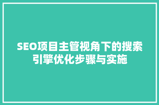 SEO项目主管视角下的搜索引擎优化步骤与实施