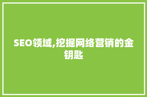 SEO领域,挖掘网络营销的金钥匙