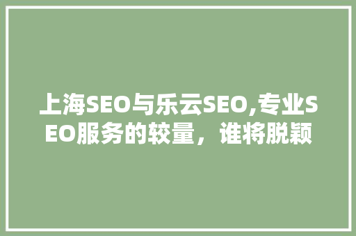 上海SEO与乐云SEO,专业SEO服务的较量，谁将脱颖而出