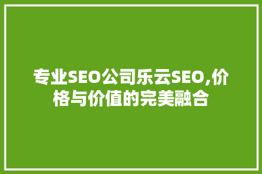 专业SEO公司乐云SEO,价格与价值的完美融合