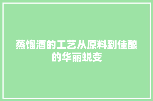 蒸馏酒的工艺从原料到佳酿的华丽蜕变