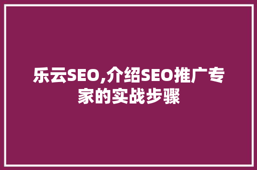乐云SEO,介绍SEO推广专家的实战步骤