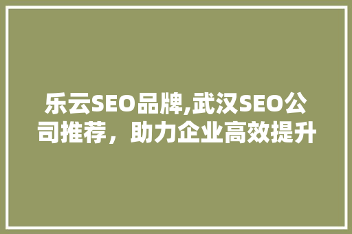 乐云SEO品牌,武汉SEO公司推荐，助力企业高效提升搜索引擎排名  第1张