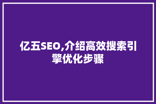 亿五SEO,介绍高效搜索引擎优化步骤