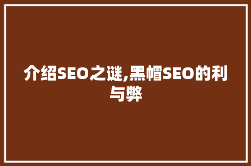 介绍SEO之谜,黑帽SEO的利与弊