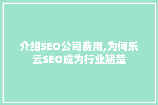 介绍SEO公司费用,为何乐云SEO成为行业翘楚