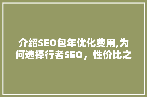 介绍SEO包年优化费用,为何选择行者SEO，性价比之选！