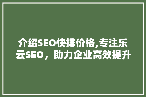 介绍SEO快排价格,专注乐云SEO，助力企业高效提升网站排名