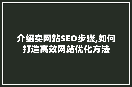 介绍卖网站SEO步骤,如何打造高效网站优化方法  第1张