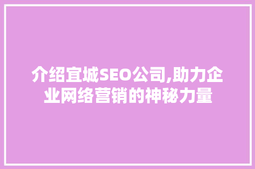 介绍宜城SEO公司,助力企业网络营销的神秘力量