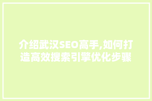 介绍武汉SEO高手,如何打造高效搜索引擎优化步骤