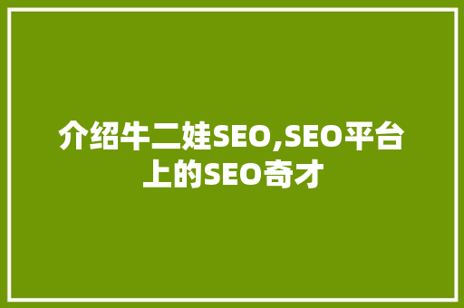 介绍牛二娃SEO,SEO平台上的SEO奇才