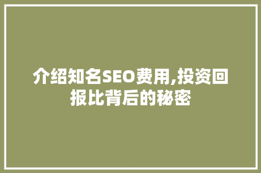 介绍知名SEO费用,投资回报比背后的秘密