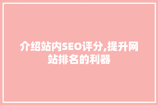 介绍站内SEO评分,提升网站排名的利器