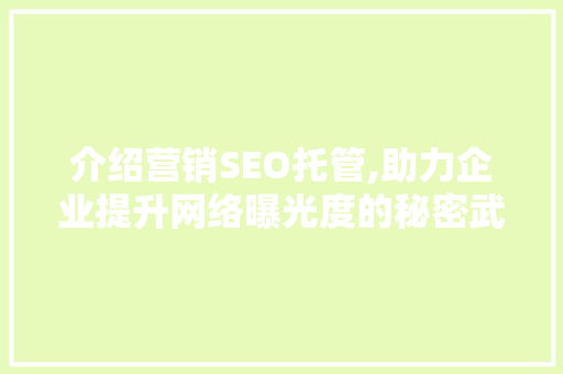 介绍营销SEO托管,助力企业提升网络曝光度的秘密武器