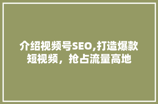 介绍视频号SEO,打造爆款短视频，抢占流量高地
