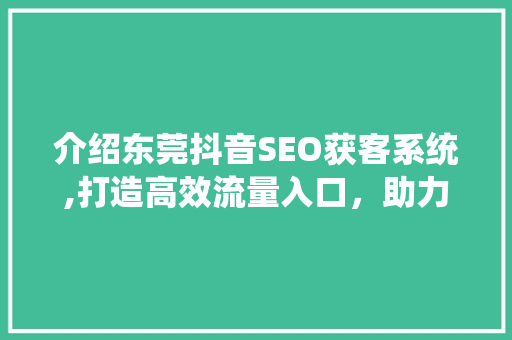 介绍东莞抖音SEO获客系统,打造高效流量入口，助力企业腾飞
