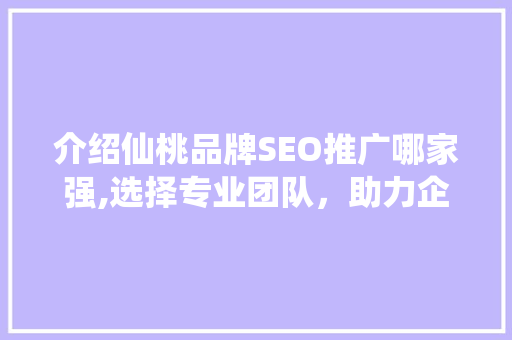 介绍仙桃品牌SEO推广哪家强,选择专业团队，助力企业腾飞