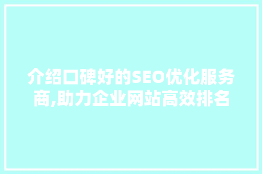 介绍口碑好的SEO优化服务商,助力企业网站高效排名的秘密武器