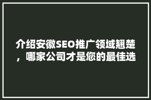 介绍安徽SEO推广领域翘楚，哪家公司才是您的最佳选择