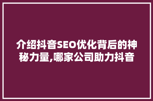 介绍抖音SEO优化背后的神秘力量,哪家公司助力抖音霸屏