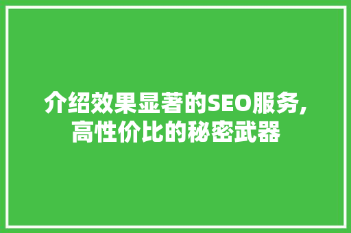 介绍效果显著的SEO服务,高性价比的秘密武器