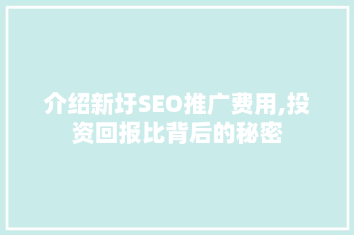 介绍新圩SEO推广费用,投资回报比背后的秘密