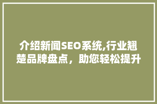 介绍新闻SEO系统,行业翘楚品牌盘点，助您轻松提升网站排名