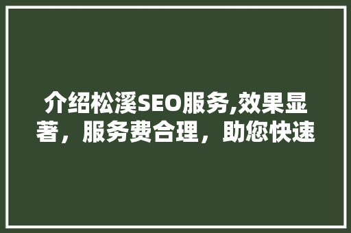 介绍松溪SEO服务,效果显著，服务费合理，助您快速提升网站排名