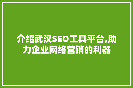 介绍武汉SEO工具平台,助力企业网络营销的利器