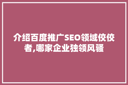 介绍百度推广SEO领域佼佼者,哪家企业独领风骚