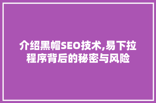 介绍黑帽SEO技术,易下拉程序背后的秘密与风险